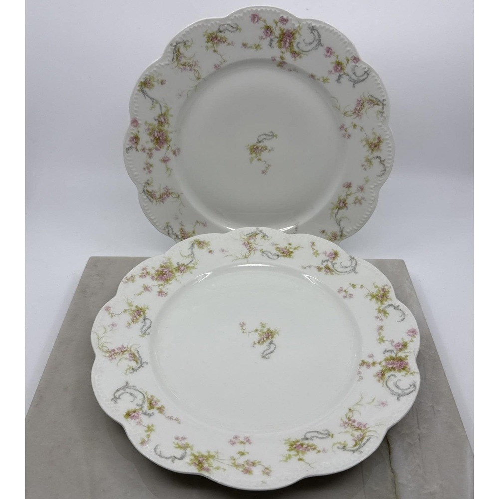 Antique Haviland Limoges The Princess Set Of Two Dinner Plates Collectors